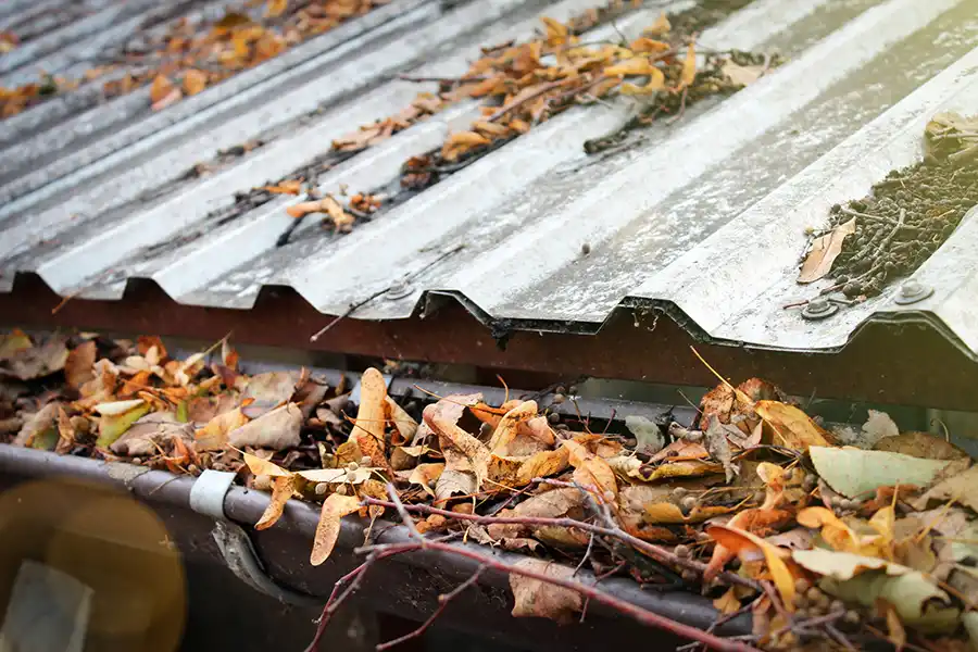 Gutter Cleaning Services